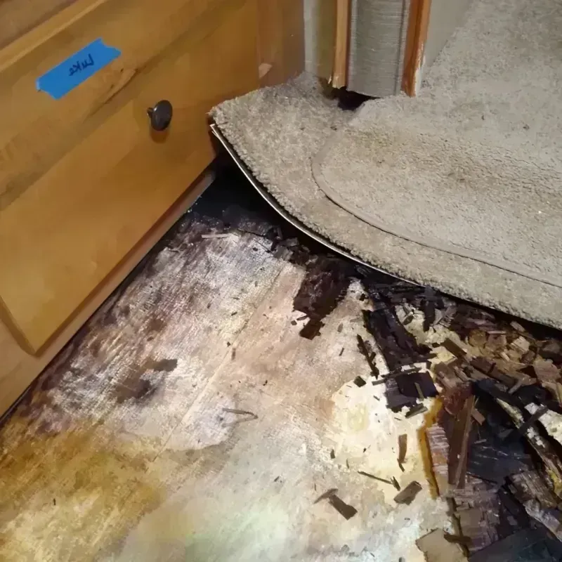 Wood Floor Water Damage in Monroe City, MO